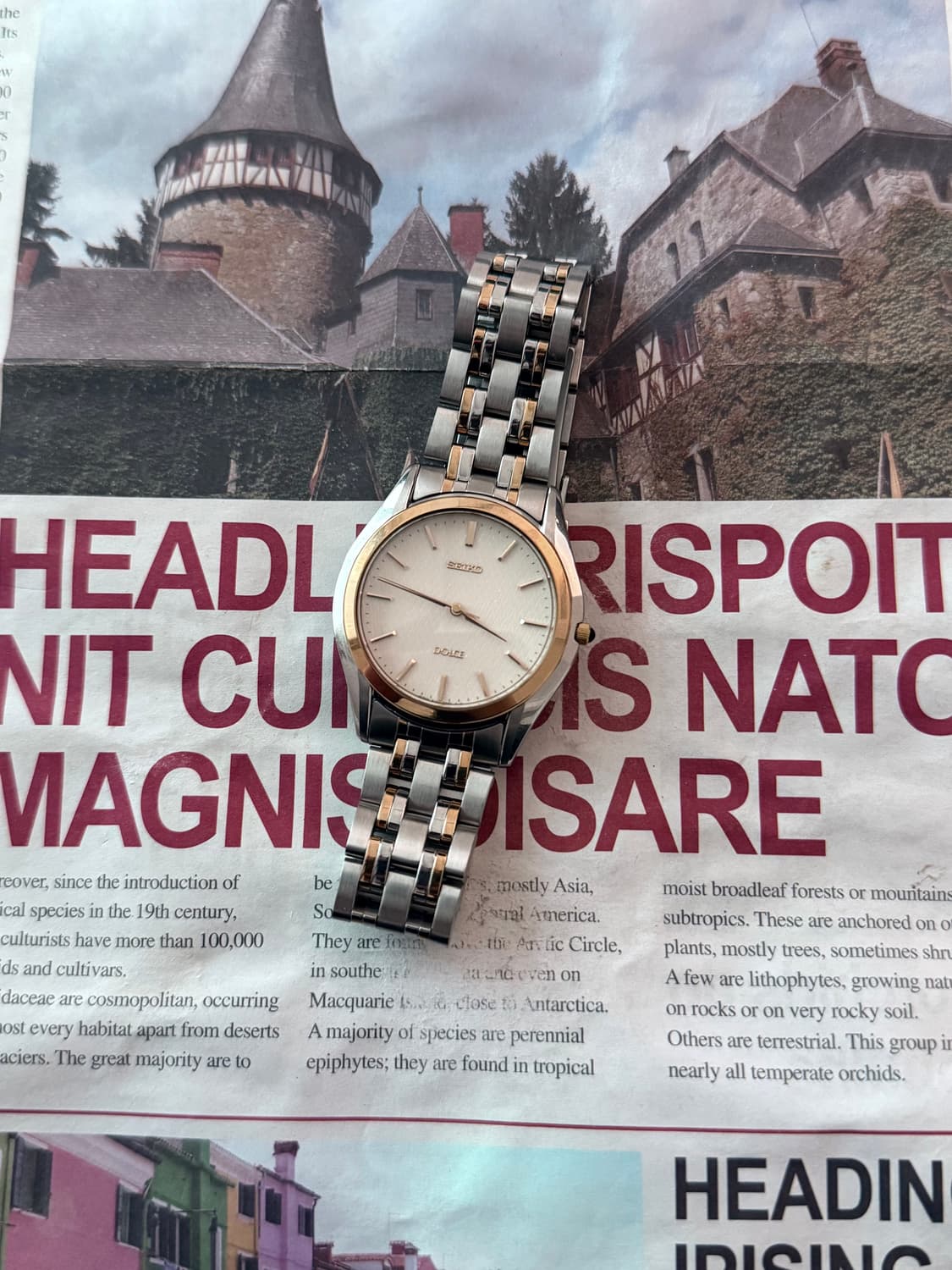 세이코 Seiko Dloce 클래식 콤비 상품이미지2