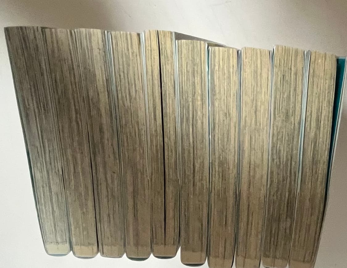 급처(일본어판) 추락여고생과 폐인 교사 상품이미지6