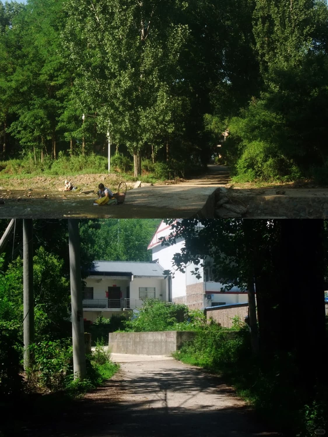 후지필름 파인픽스 F100fd 블랙 상품이미지9