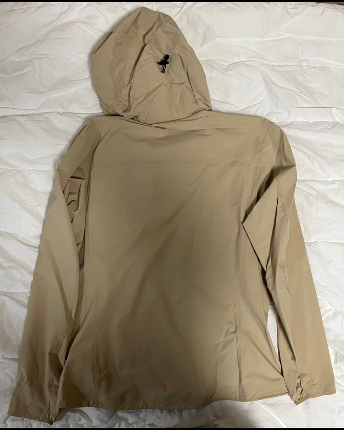 아크테릭스 감마 라이트웨이트 후디 M 상품이미지2