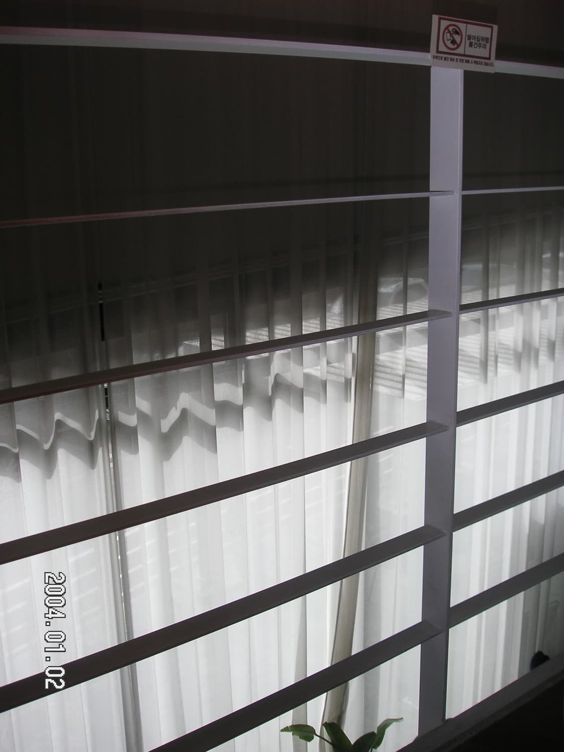 미놀타 디미지 XG (작례O) 상품이미지6