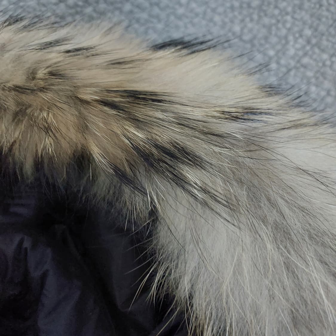 버버리 달머튼 라쿤퍼후드 패딩 상품이미지7