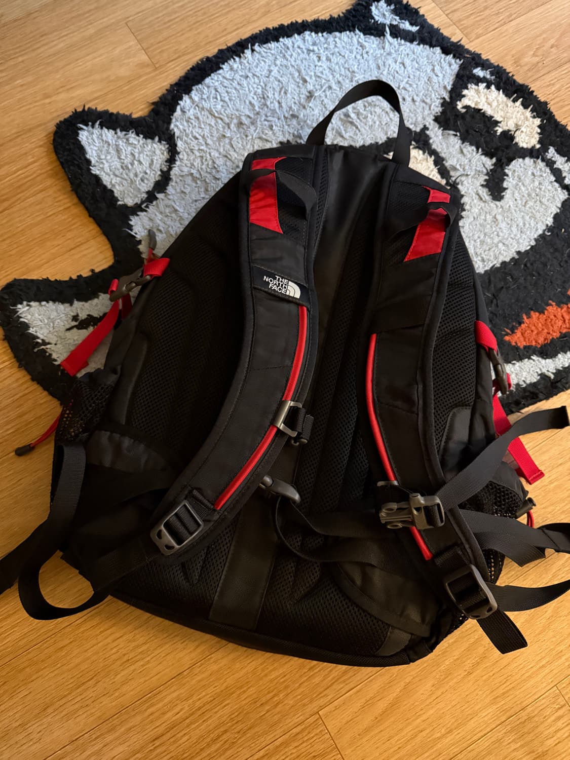 🔥노스페이스 백팩🔥 (빈티지) 상품이미지2