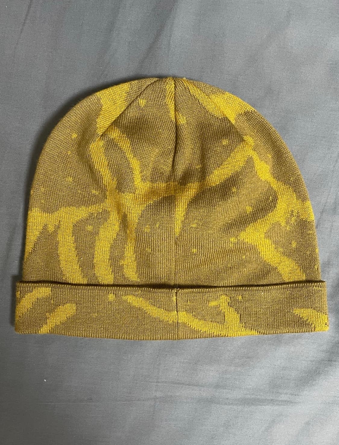 아크테릭스 비니 상품이미지2