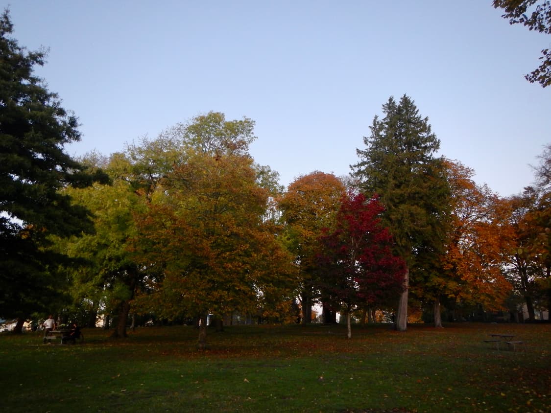 준민트급) 니콘 쿨픽스 AW110 Nikon Coolpix 디카 풀박스 상품이미지8