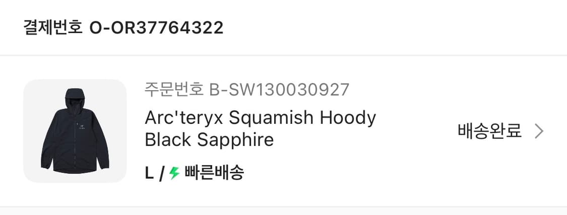 아크테릭스 스쿼미시 블랙사파이어 L판매합니다. 상품이미지4