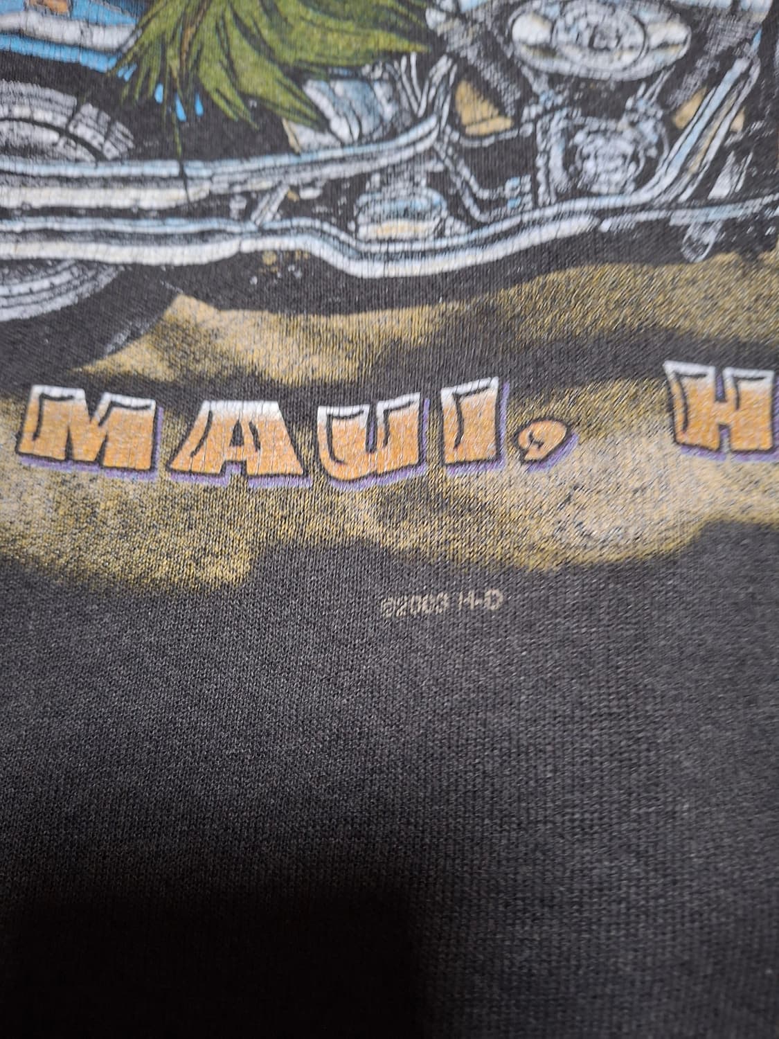 00s 마우이 할리데이비슨 플레임 후드집업 상품이미지4