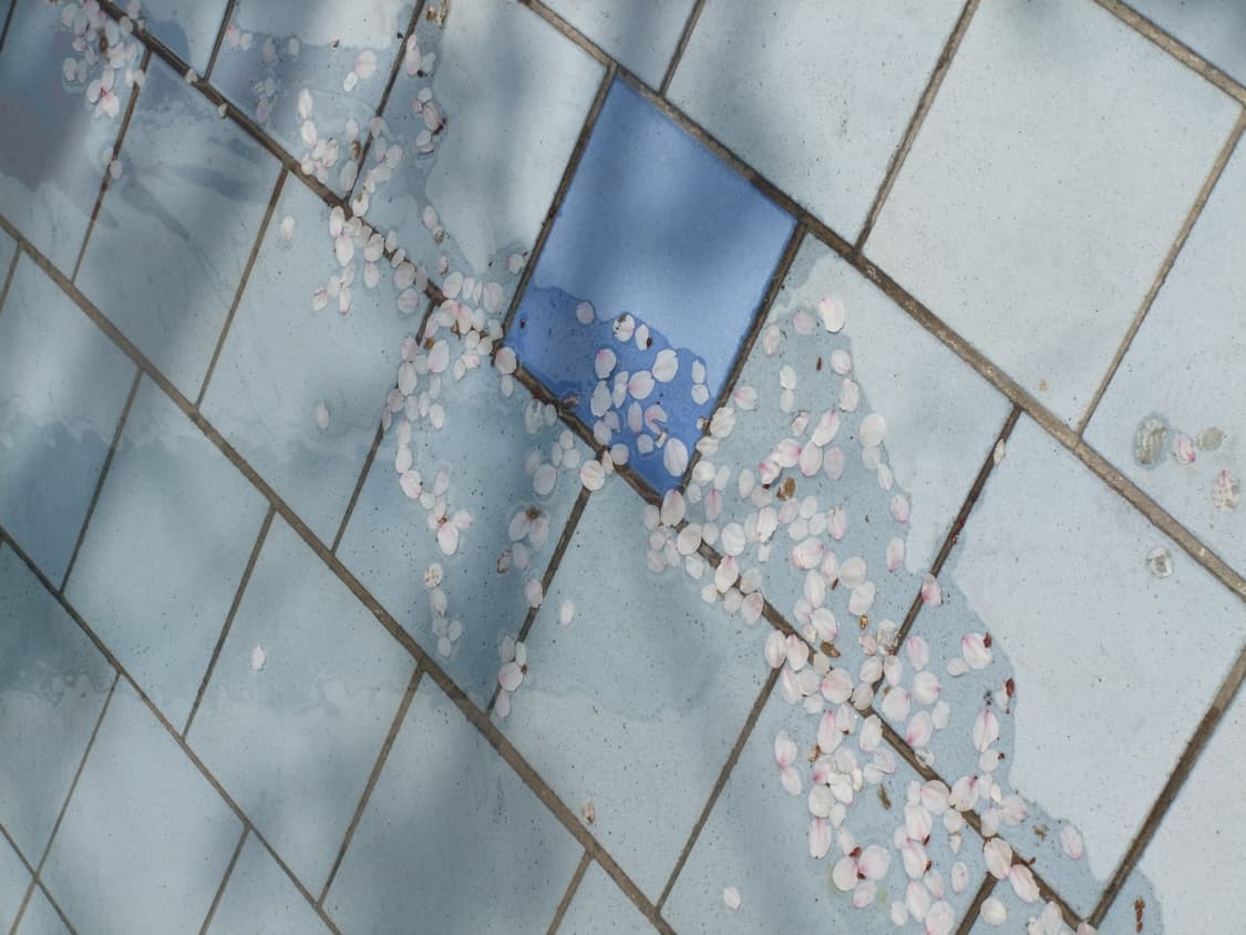 후지필름 F70EXR 핑크 (벚꽃 작례 O ) 상품이미지8