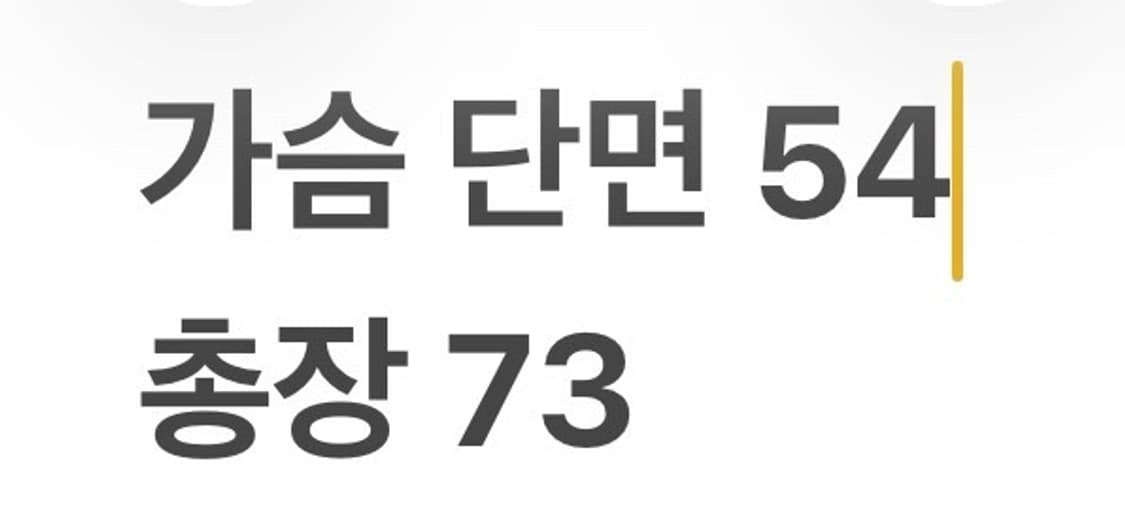 [정품] 입생로랑 베이지색 정장 자켓 b17 상품이미지9