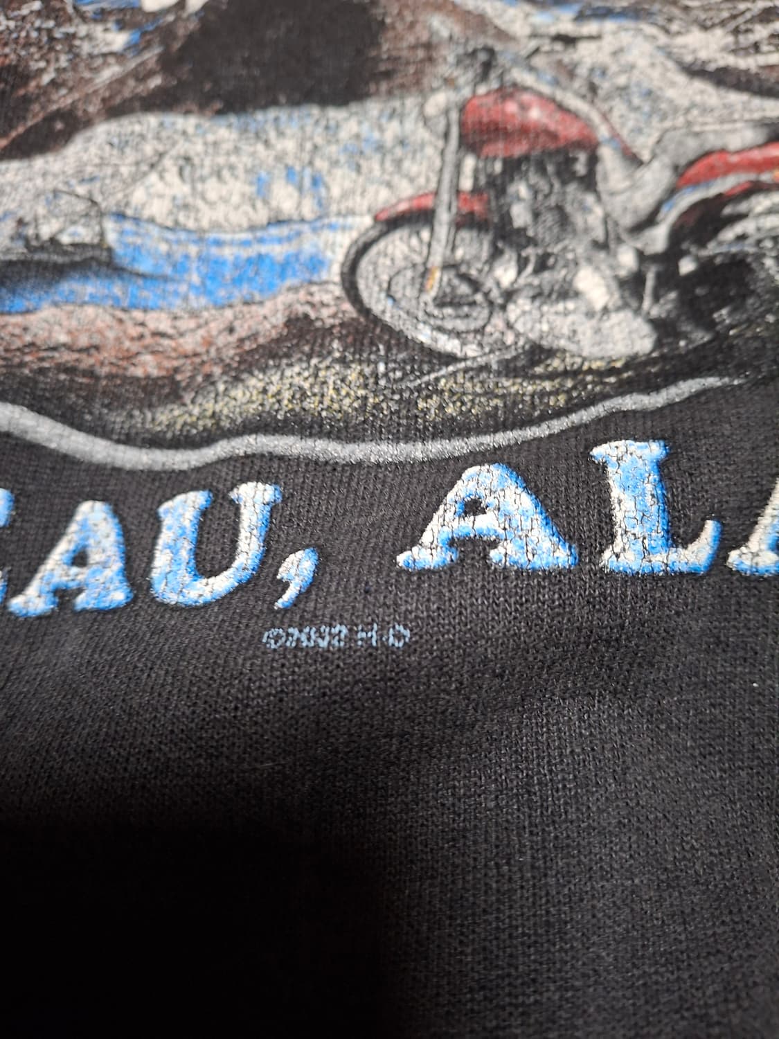 00s 할리데이비슨 알래스카 주노 후드집업 상품이미지5