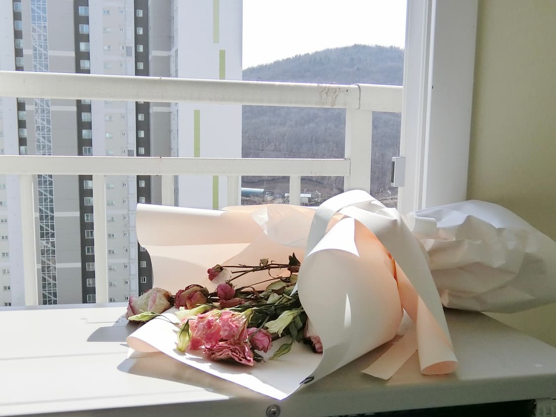 작례o) casio exilim zr-60 상품이미지5