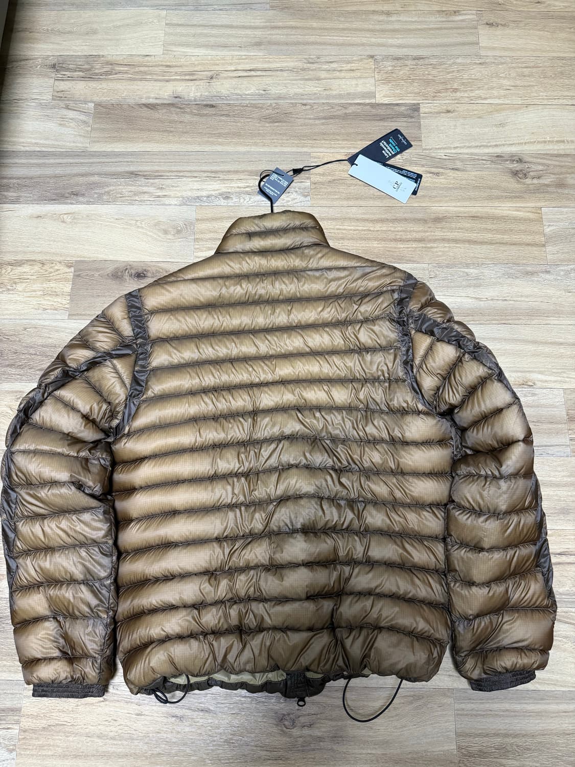 50 cp 컴퍼니 dd쉘 상품이미지2