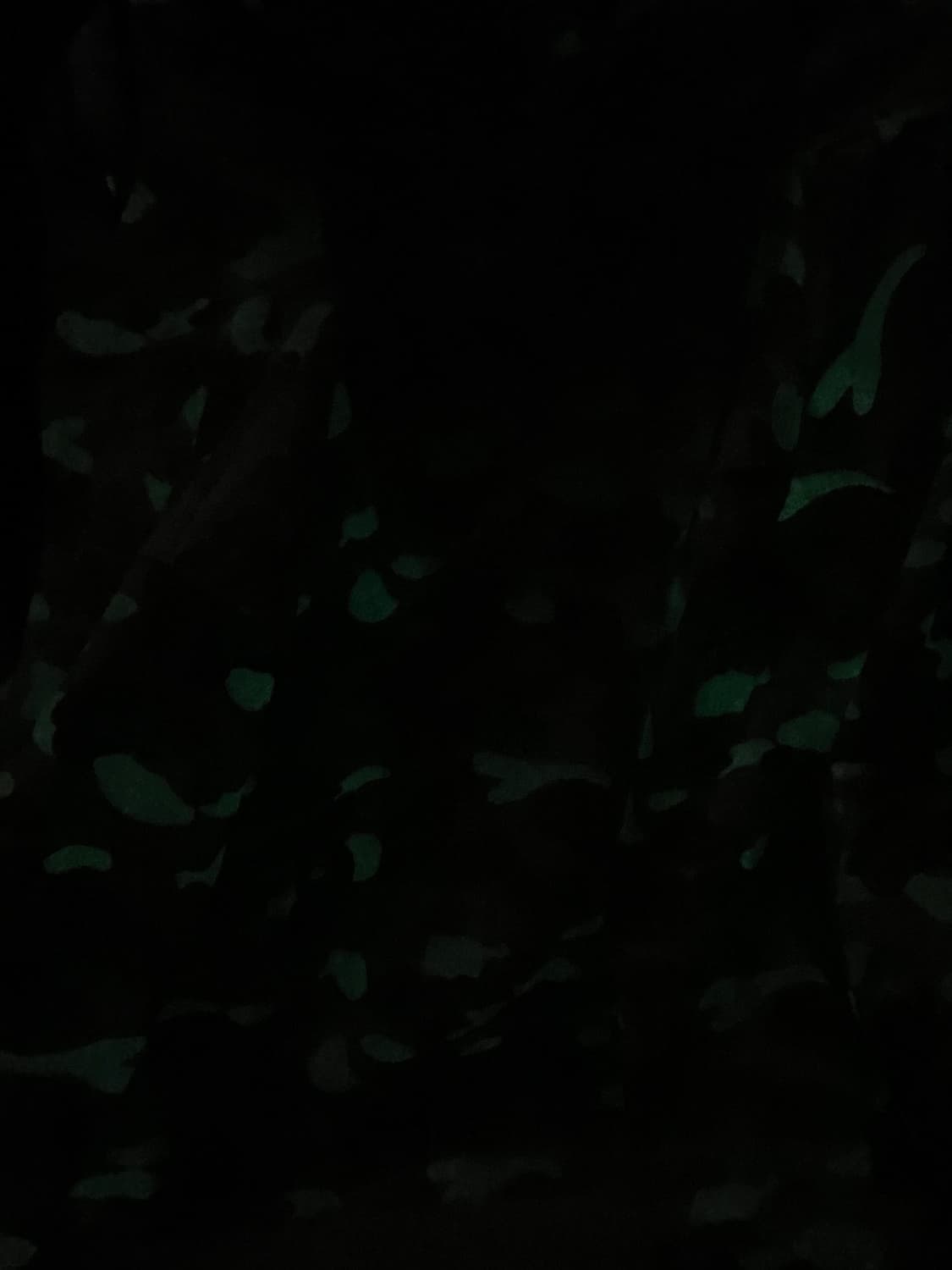 베이프 상품이미지2