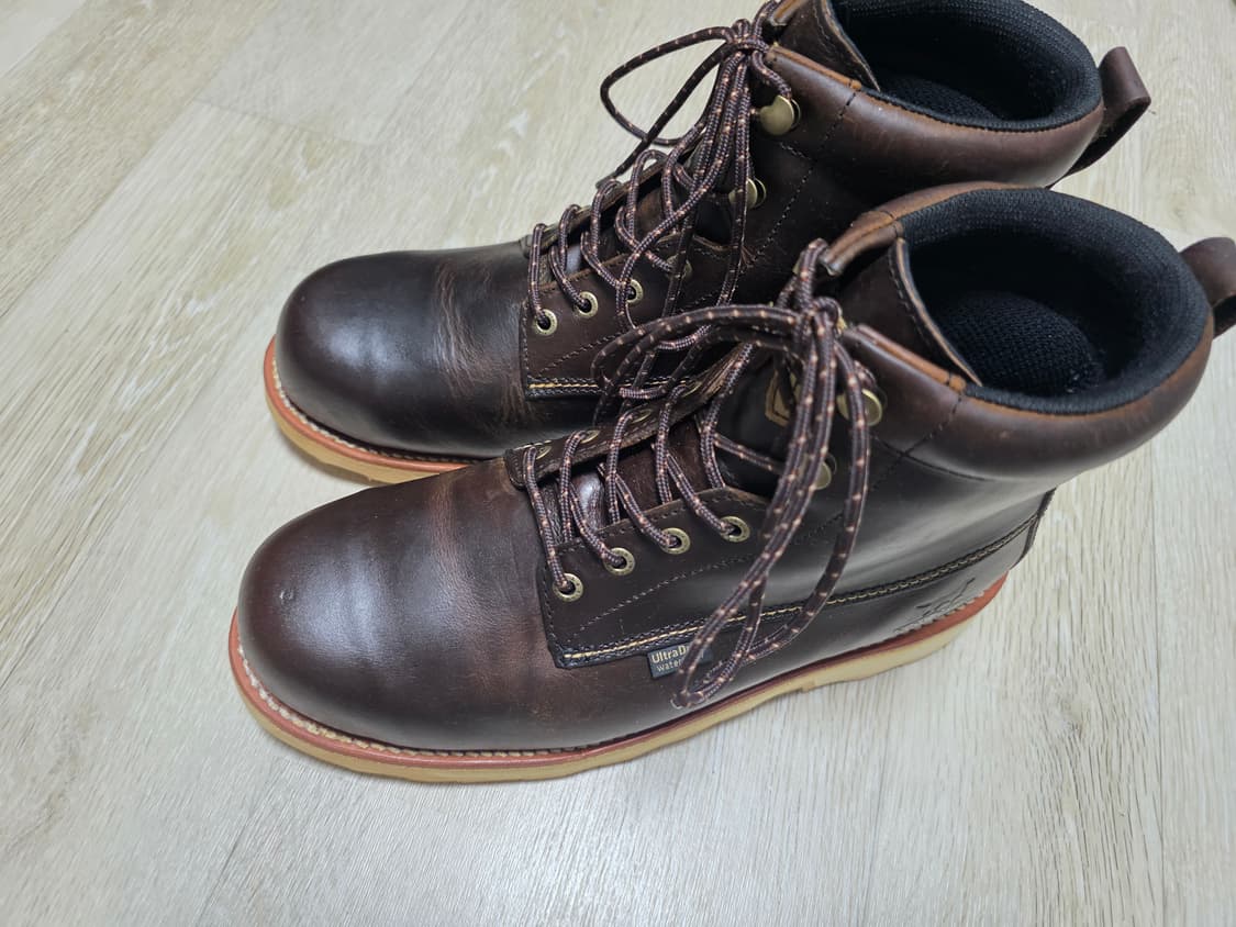 [US 9 2E] 아이리쉬세터 윙슈터 ST 83622 상품이미지1