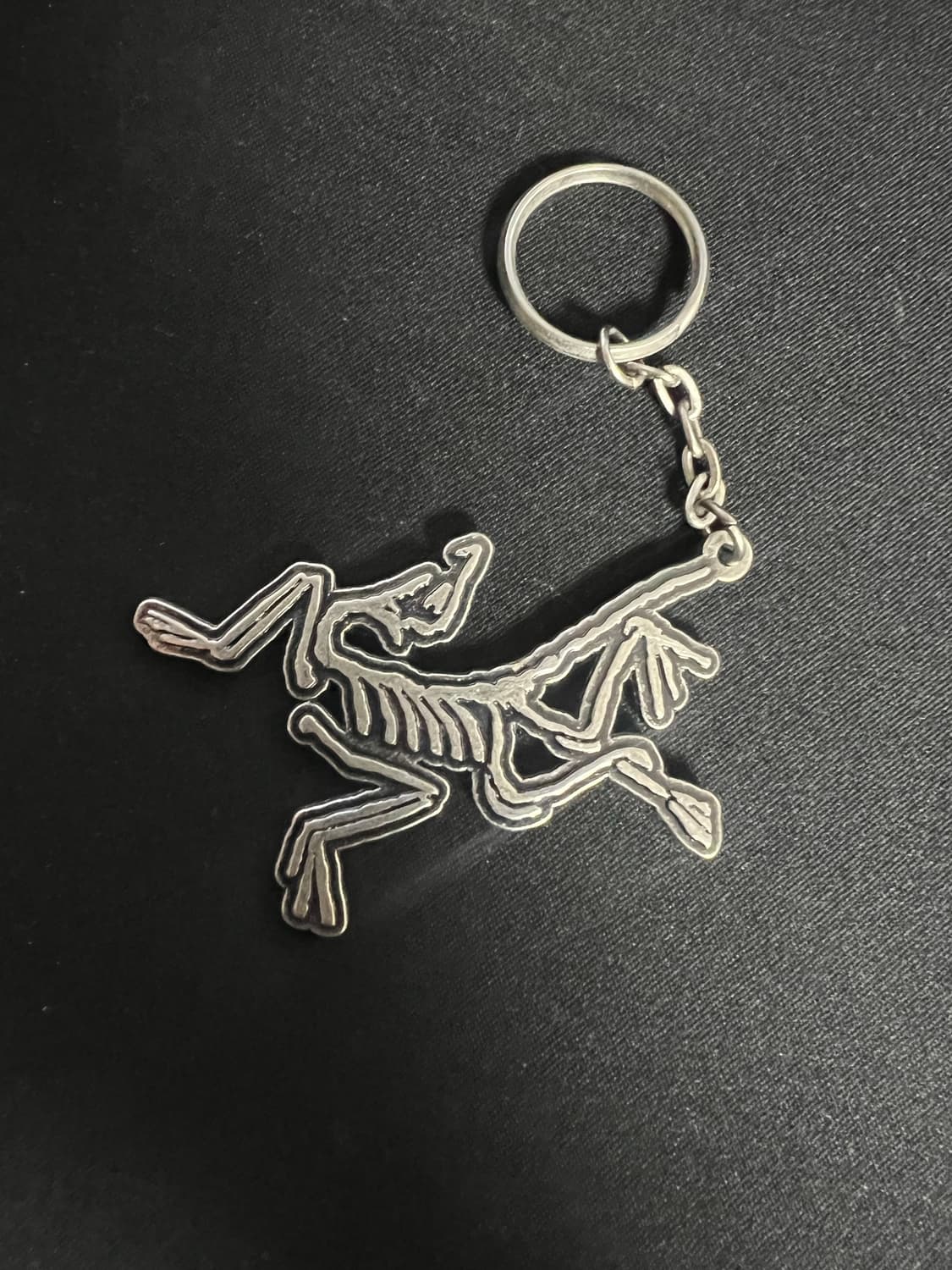 아크테릭스 키링 상품이미지1