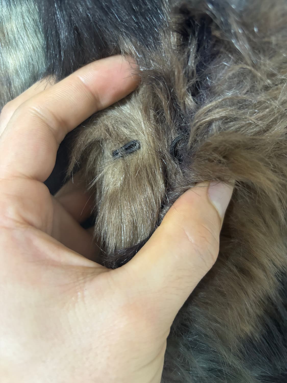 게스 y2k 퍼 베스트 상품이미지6