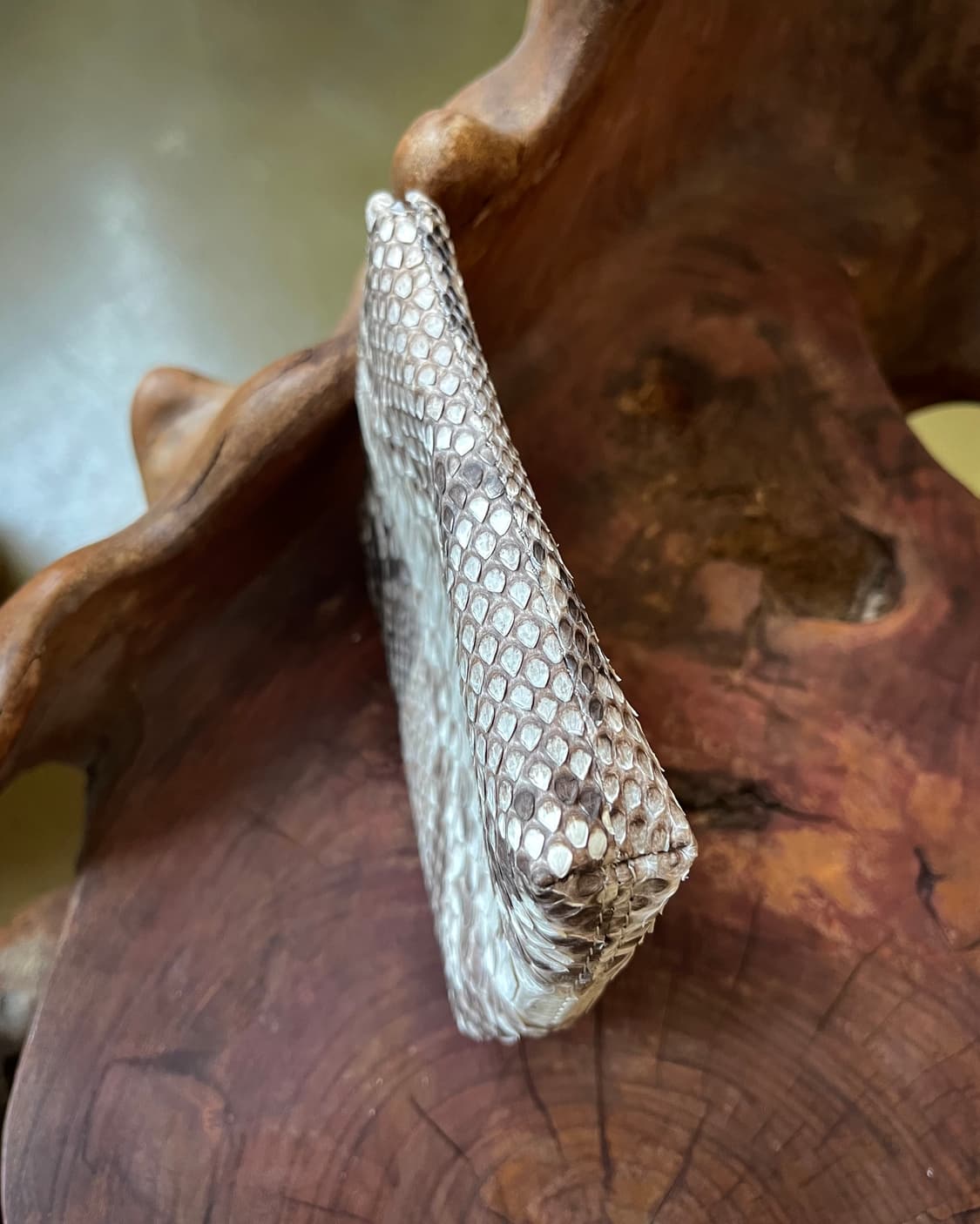 Western Hand Craft Real Python Wallet 상품이미지6