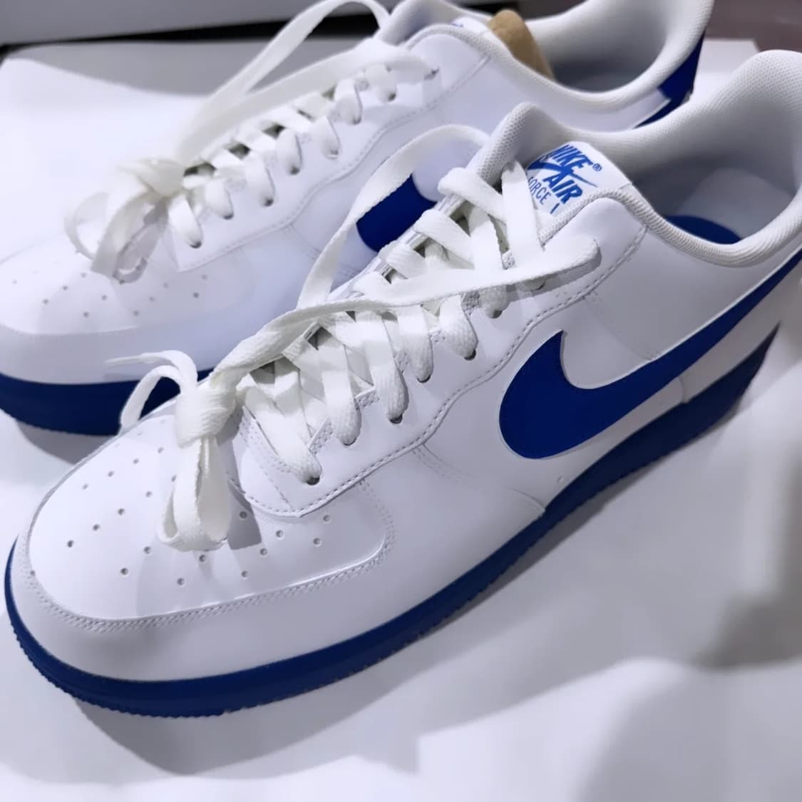 각종 희귀 포스류들 팝니다 상품이미지2