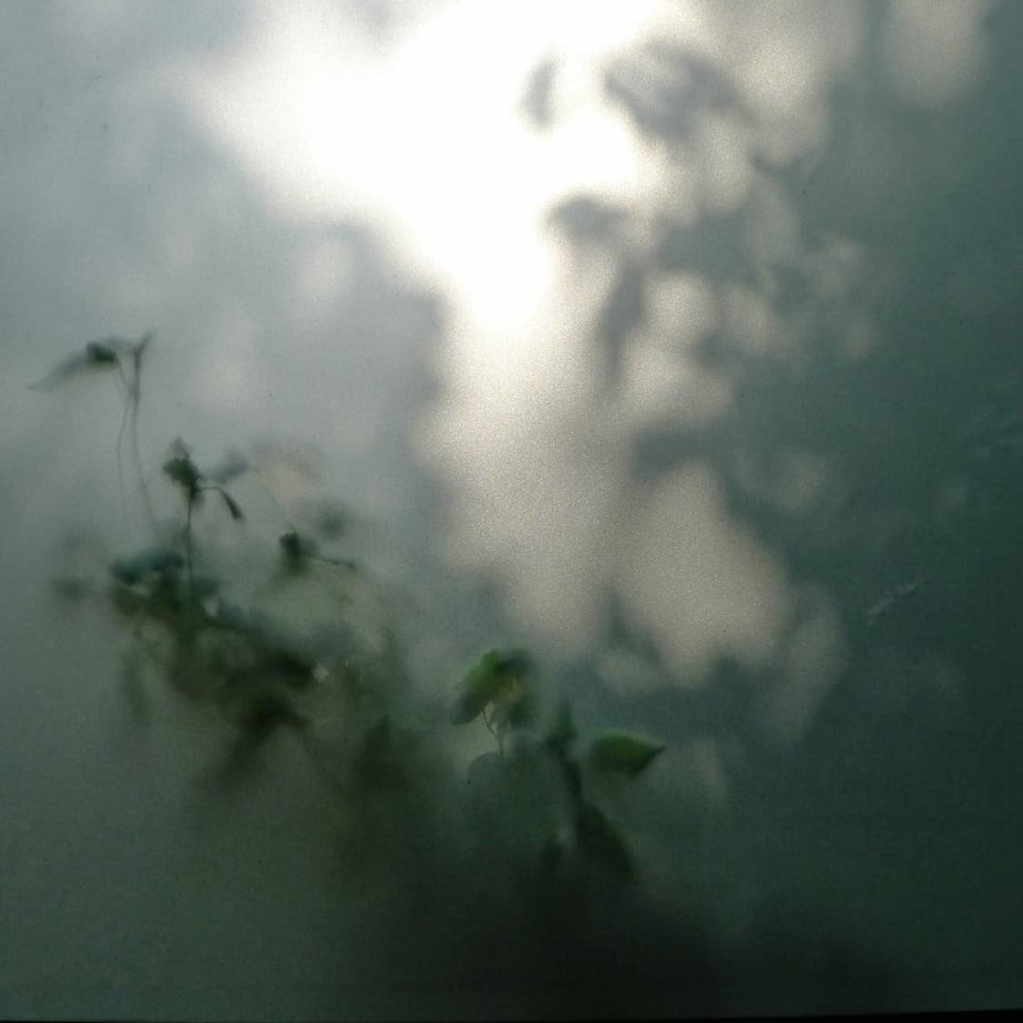 Leica d-lux5 한정판 스페셜 티타늄 에디션 상품이미지6