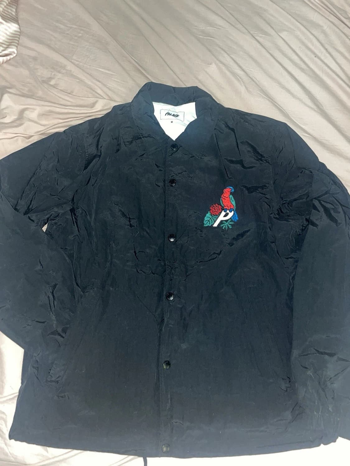 20FW 팔라스 패럿 팔라스-3 코치 자켓 블랙 상품이미지4