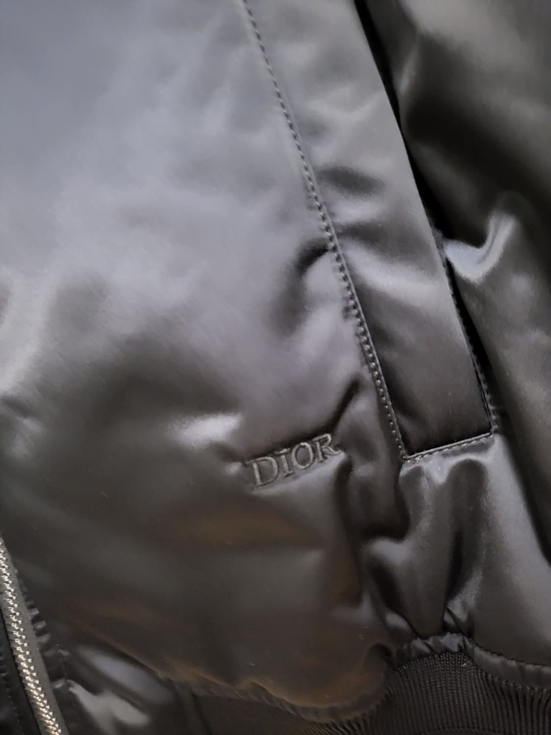 디올 X 피터도이그 콜라보 봄버자켓 상품이미지3