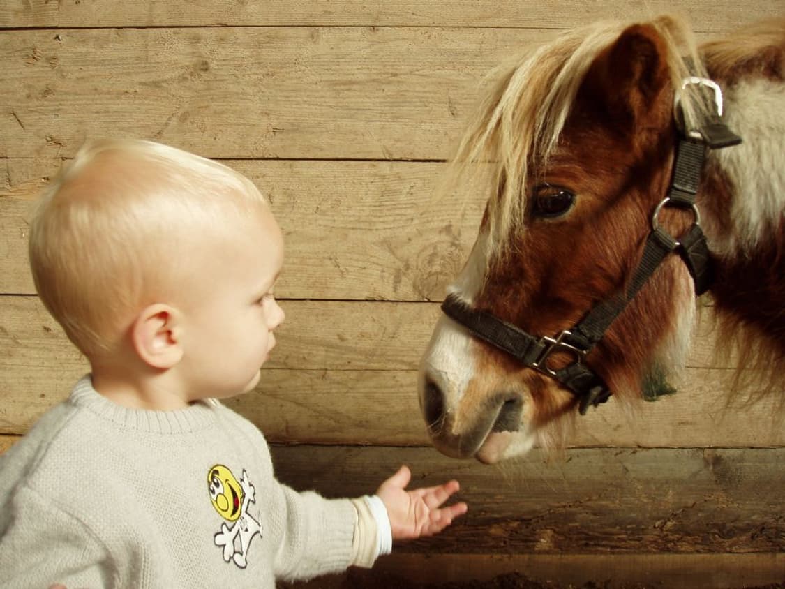 올림푸스 카메디아 x-2 상품이미지4