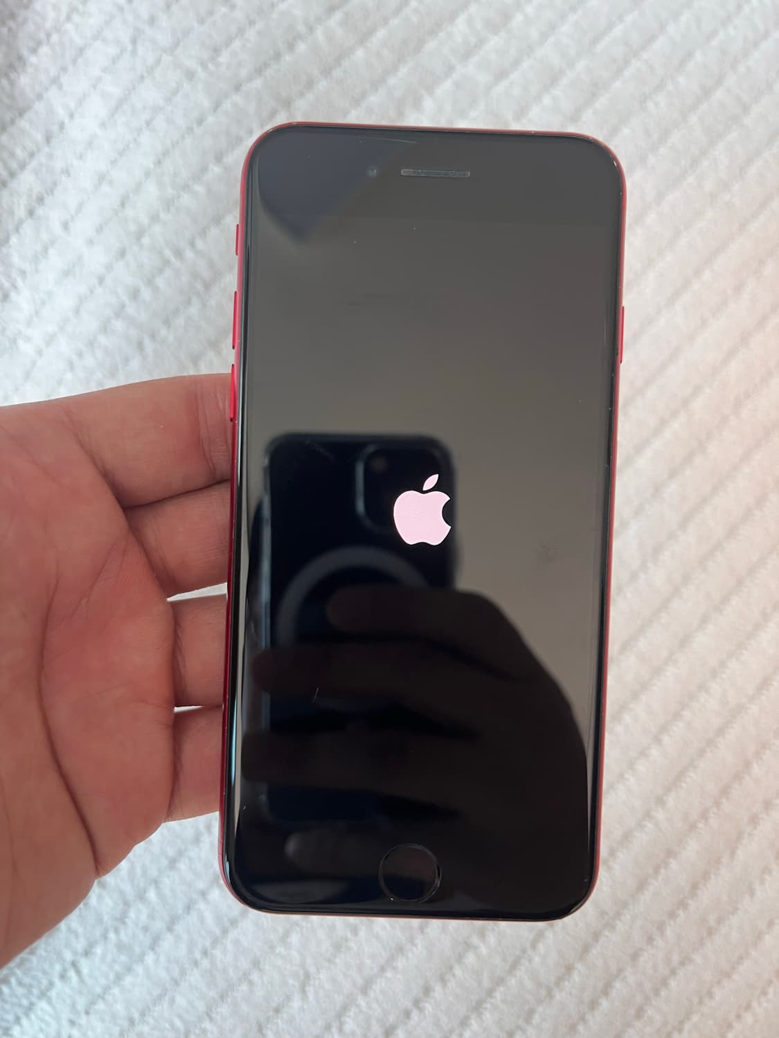 iPhone8 레드 (PRODUCT)RED 64GB 상품이미지10