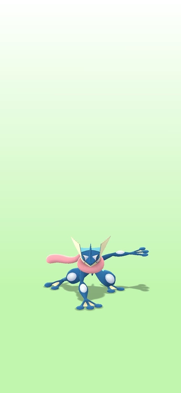 개굴닌자 상품이미지1