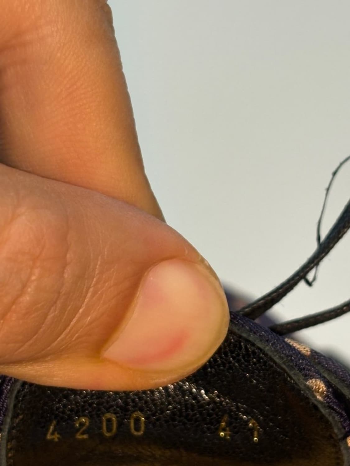 (14SS 런웨이)하이더 아커만 폴카닷 더비 슈즈 상품이미지9