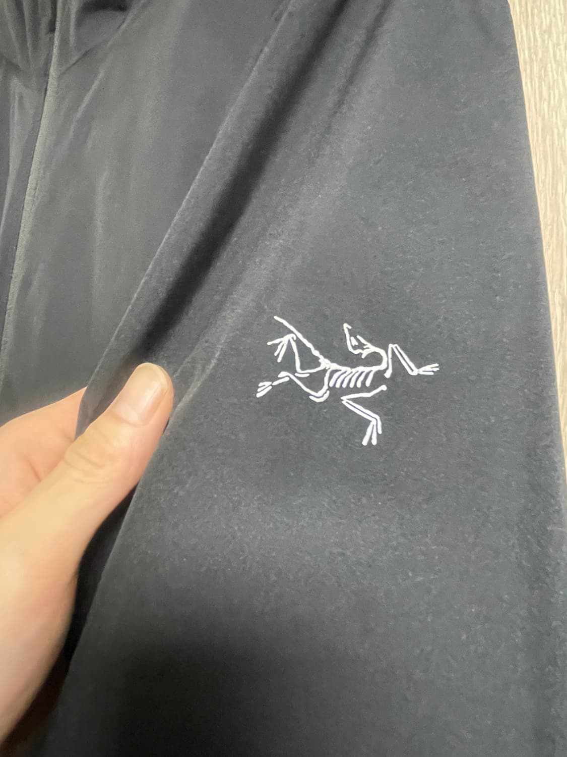 아크테릭스 솔라노 후디, 블랙 L 상품이미지4