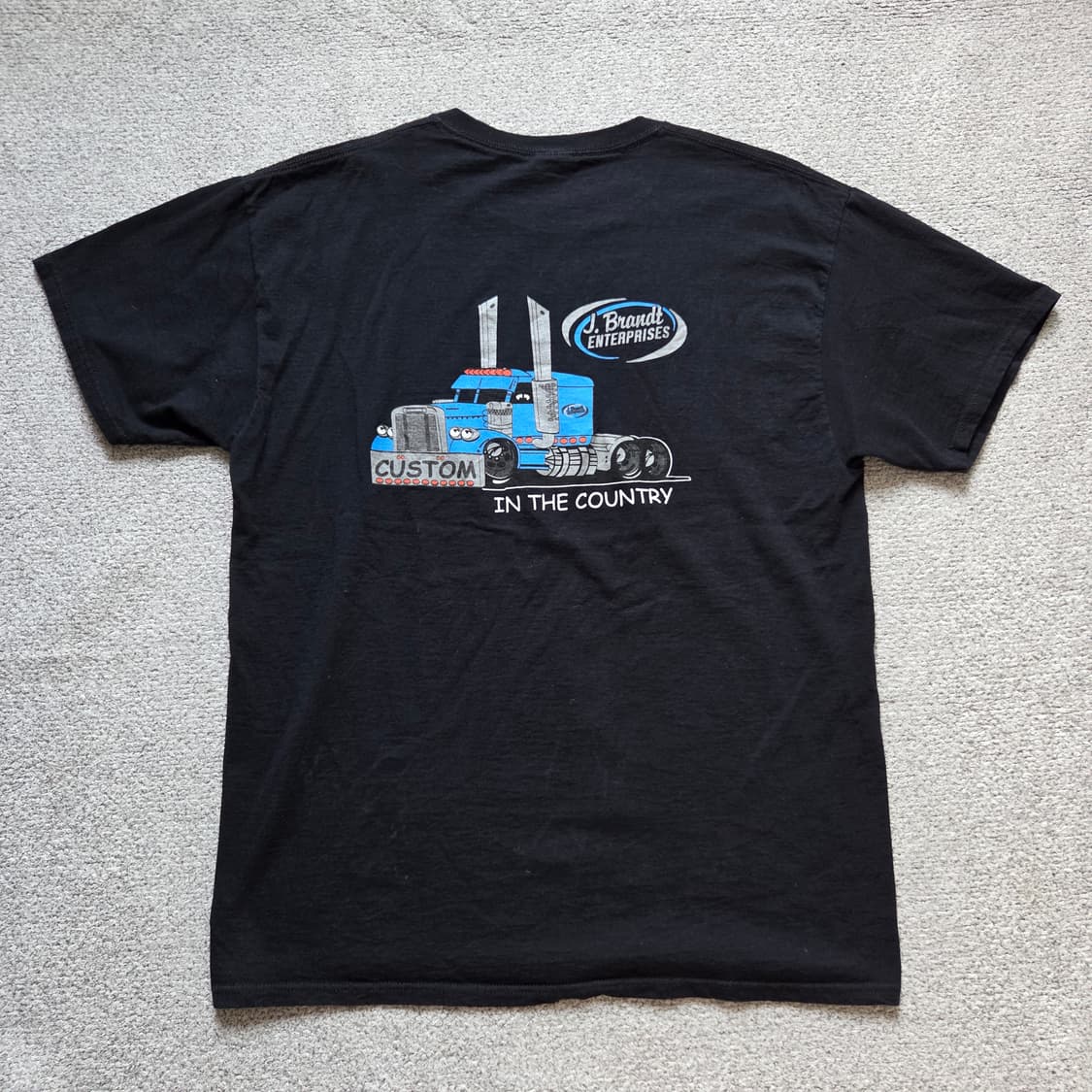 Fruit Of The Loom 빈티지 반팔 티셔츠 L(100) 상품이미지1