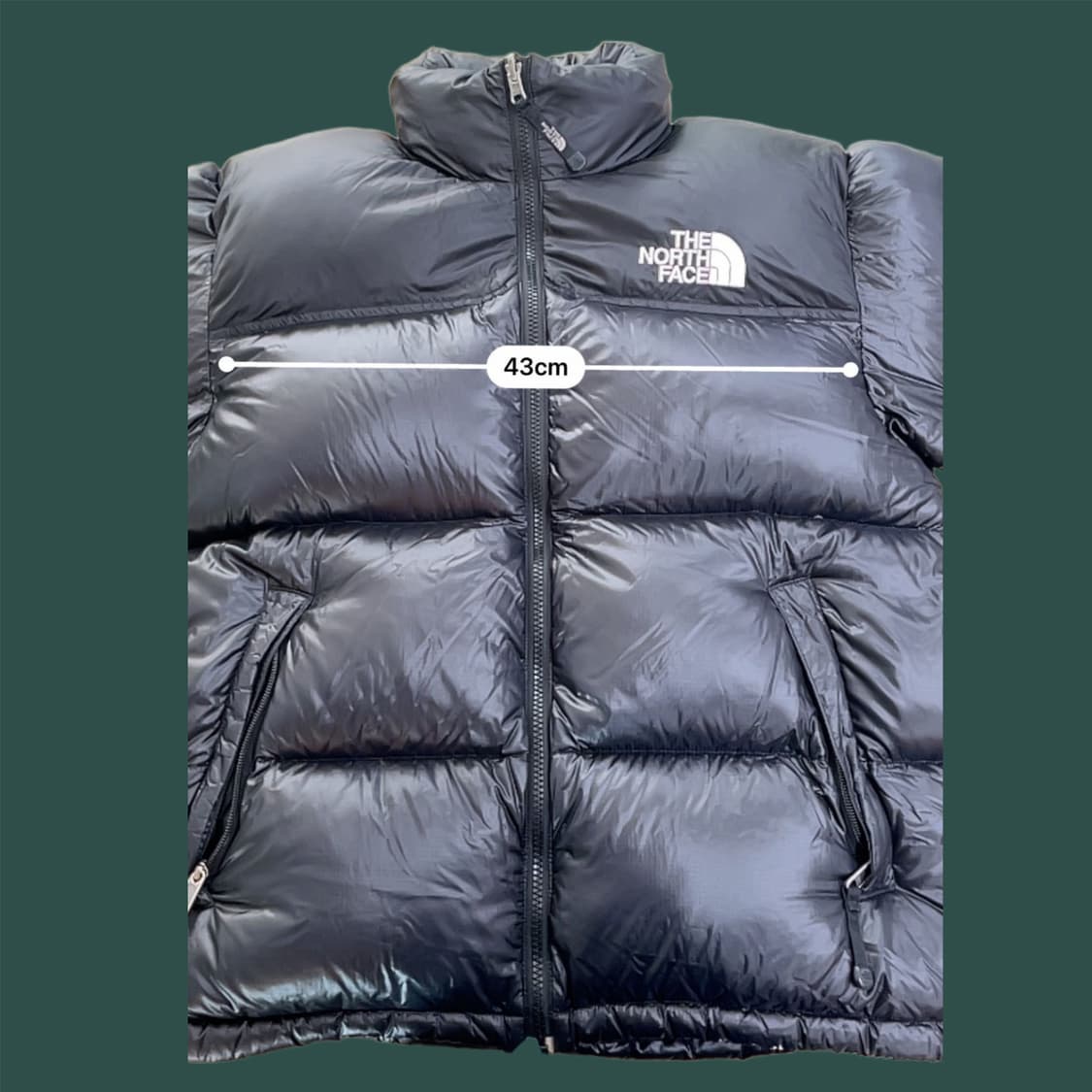 노스페이스 서밋 시리즈 2008 윈터 850 리미티드 에디션 눕시 패딩 상품이미지4