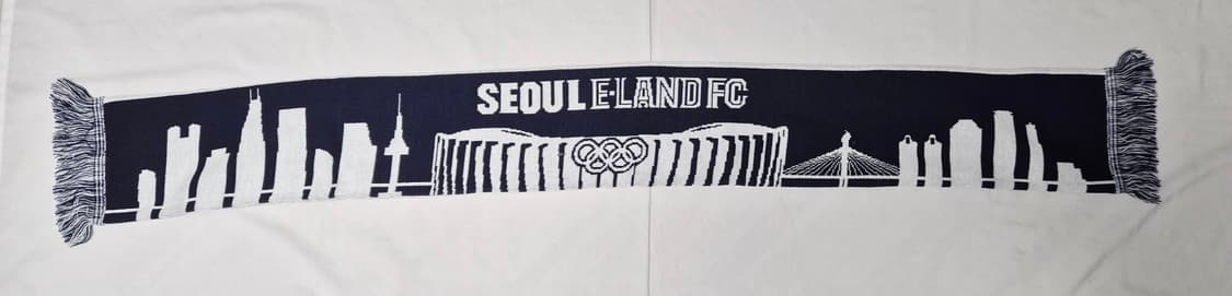 서울 이랜드 머플러 팝니다  상품이미지2