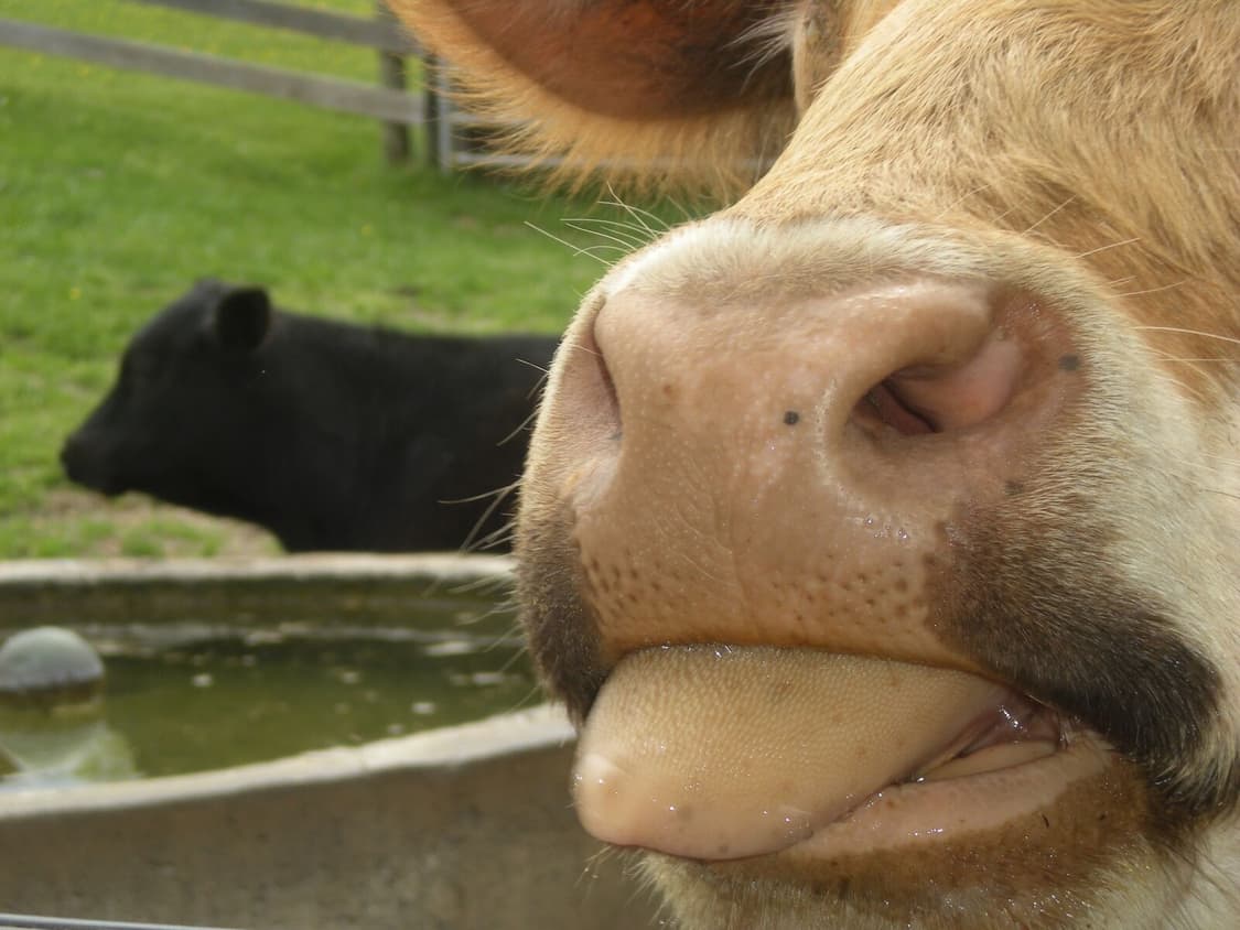 니콘 쿨픽스 s210 실버 (배터리 2개, 충전기 포함) 상품이미지8