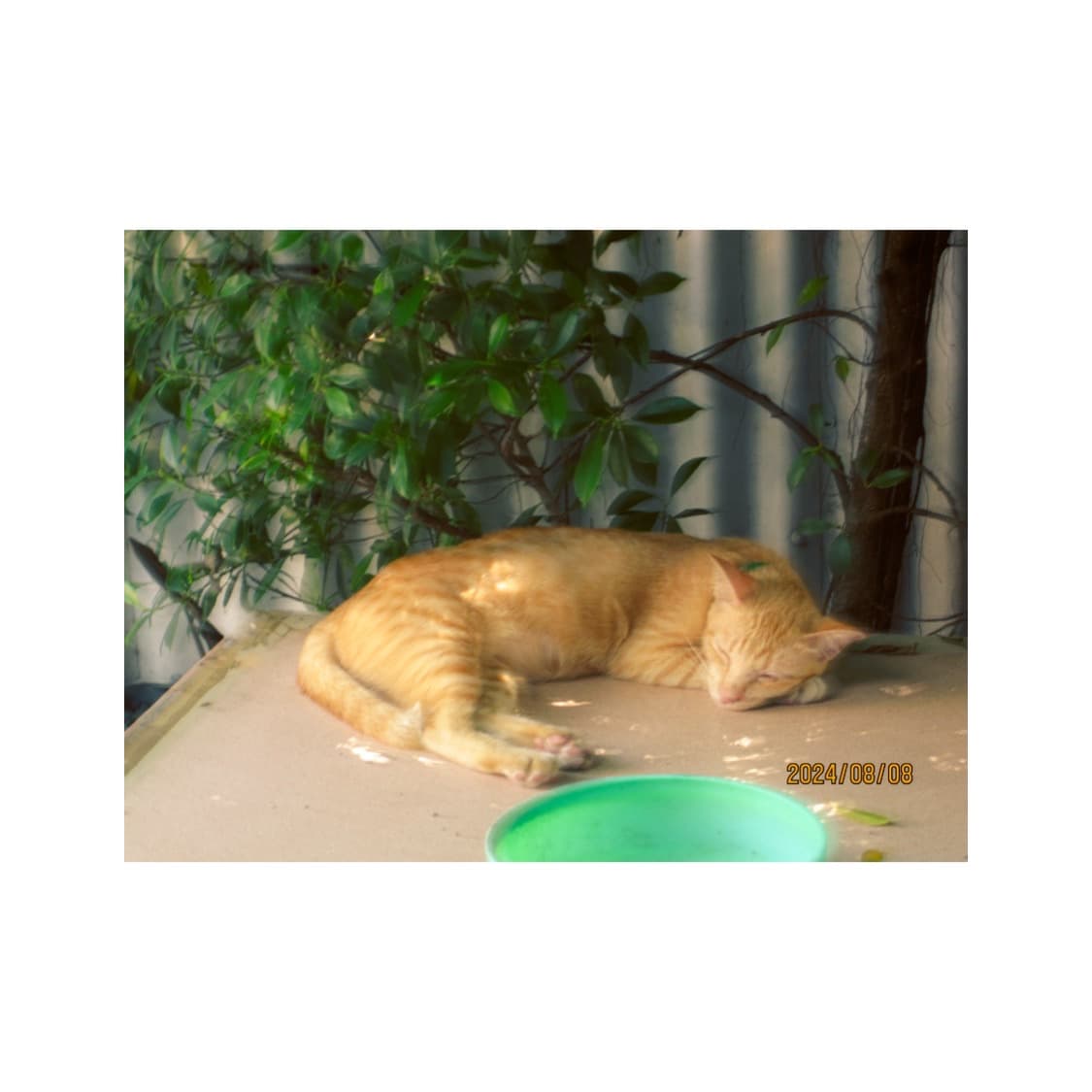 [작례포함] canon ixus 70 ixy 10 빈티지 디카 익서스 상품이미지7