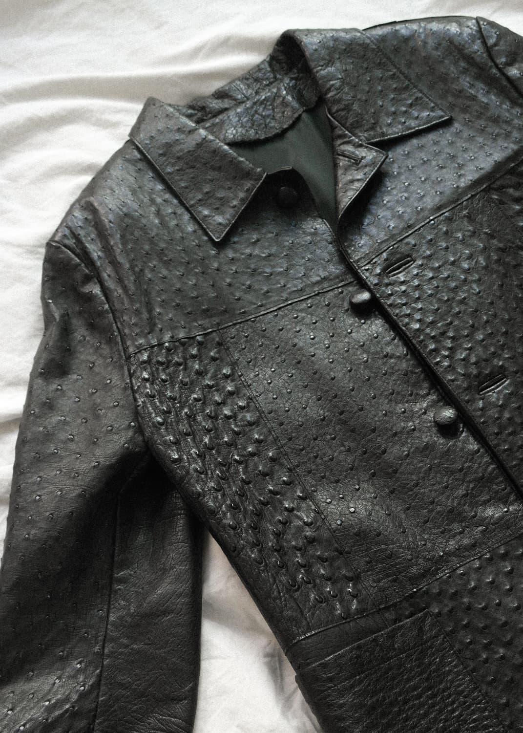 가죽 자켓 (오스트리치 한정판) 상품이미지3