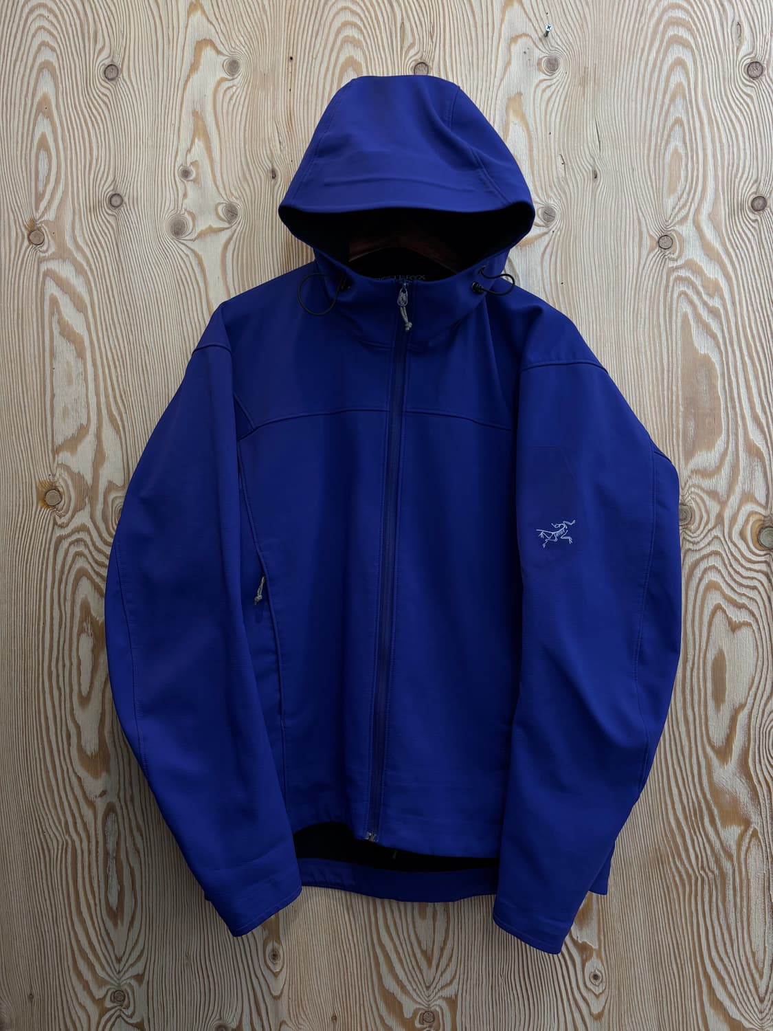 00s 아크테릭스 감마 LT 후디 소프트 쉘 자켓 상품이미지1