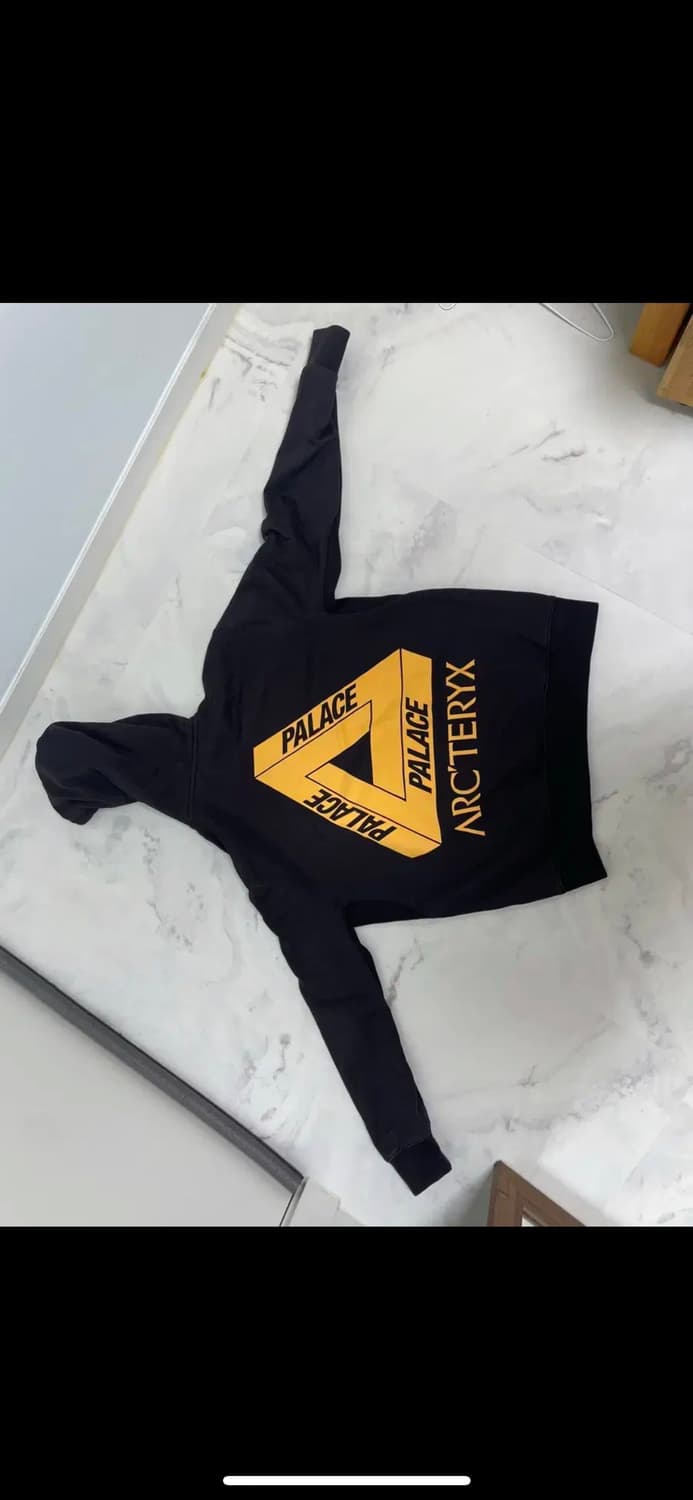 아크테릭스 팔라스 후드티 m 상품이미지2