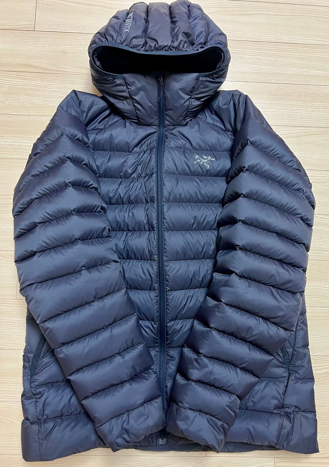 (L)아크테릭스 세륨 후디 블랙 사파이어 상품이미지1