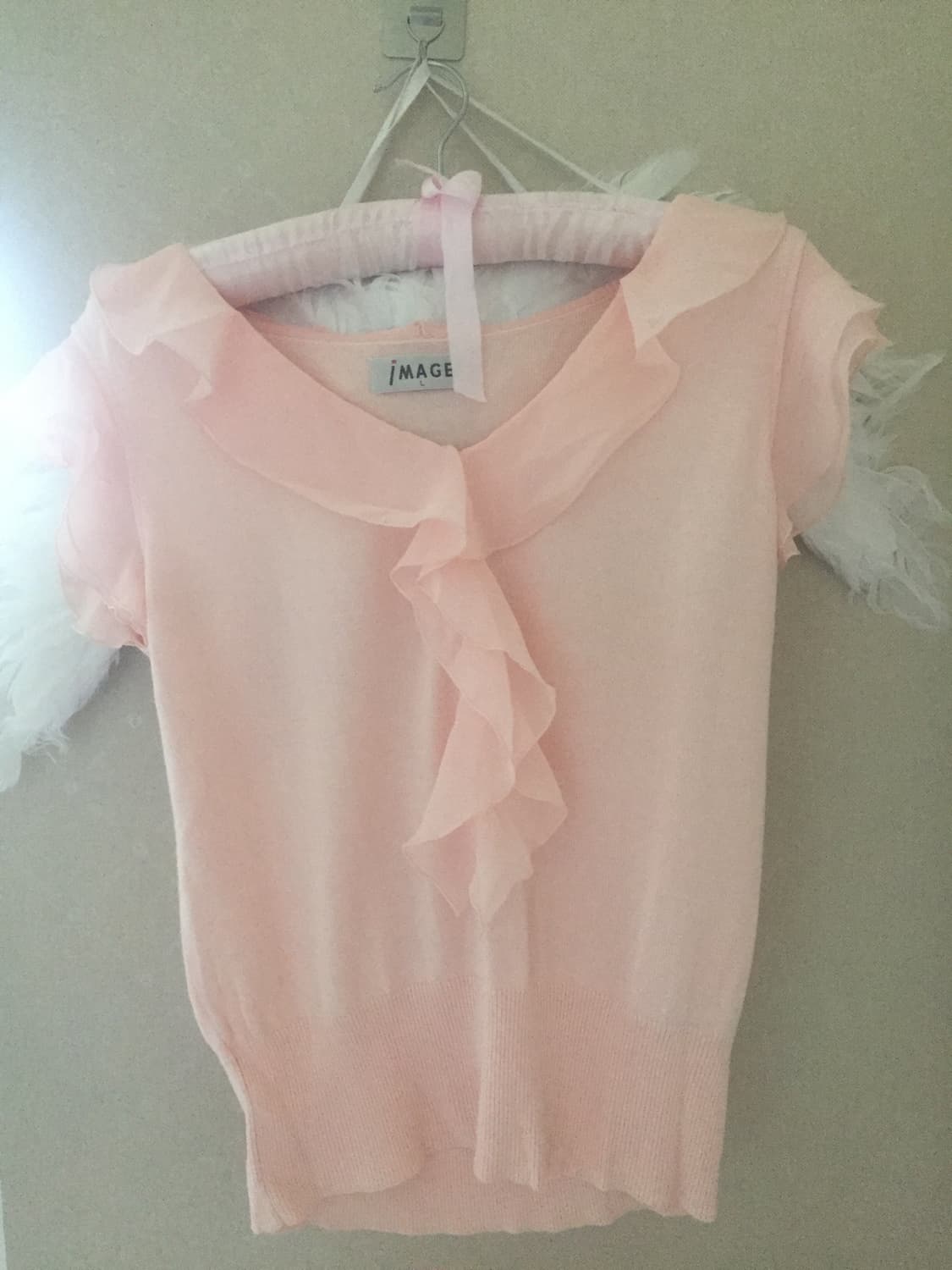 light pink ruffle blouse 상품이미지1