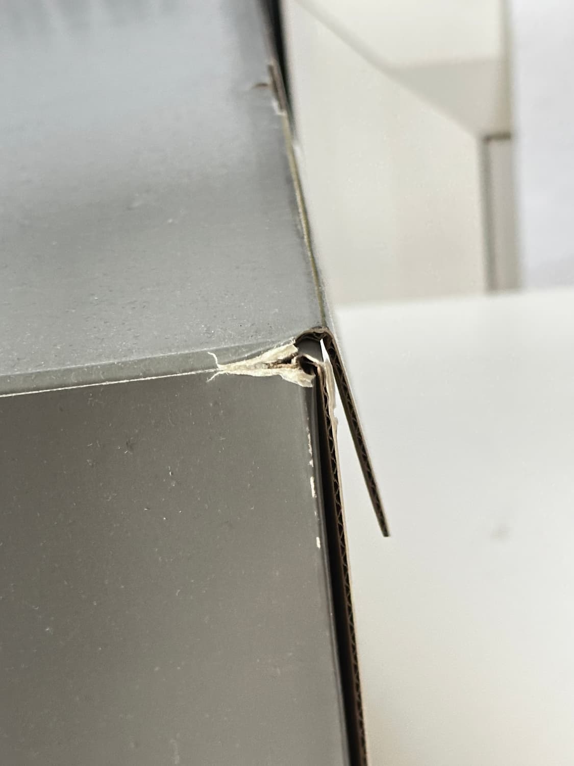 발렌시아가 뉴러너 43 블루 상품이미지8