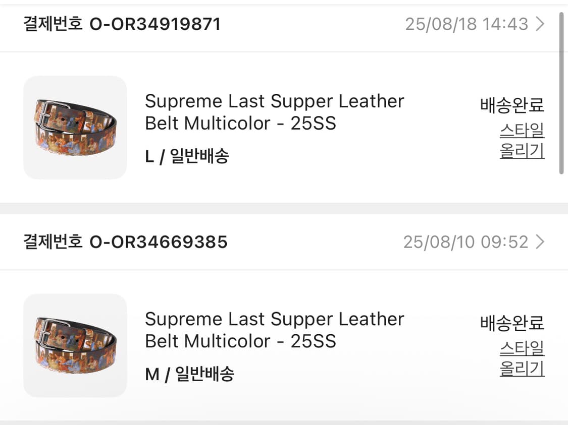 슈프림 라스트 서퍼 레더 벨트 멀티컬러 - 25SS 상품이미지2