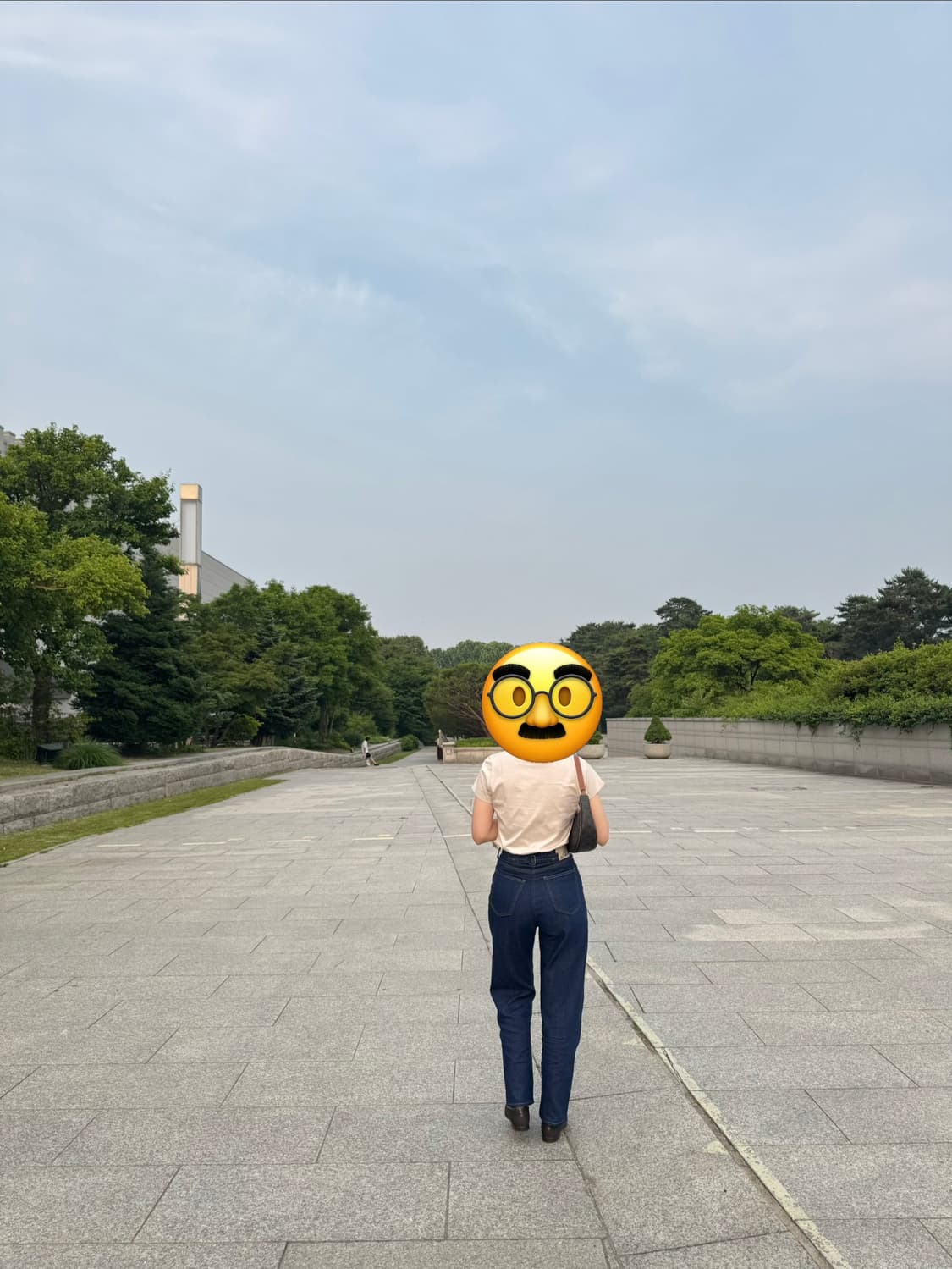 ANATOMICA Indigo NW 314 Jayne Zero 상품이미지5