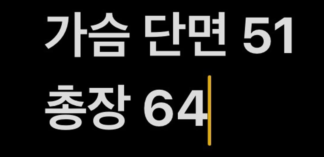 [ 정품/95 ] Lee 빅로고 니트 b15 상품이미지7