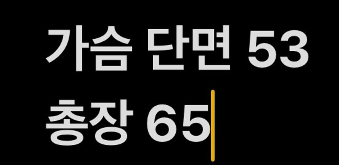 [ 정품/90 ] 노스페이스 고어텍스 바람막이 자켓 b15 상품이미지10