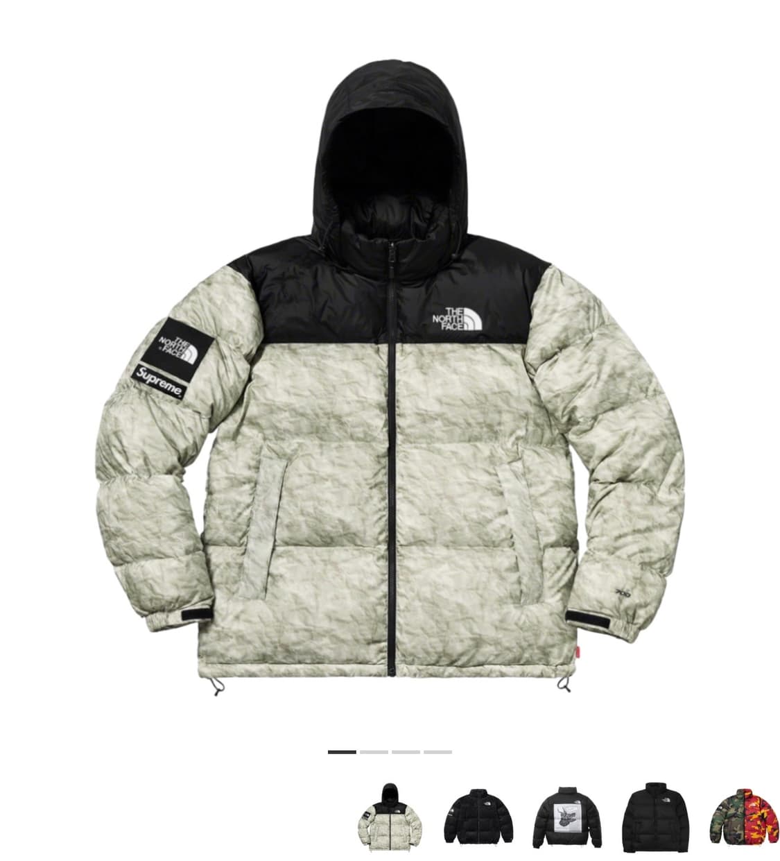 (M) 슈프림 노스페이스 페이퍼 눕시 상품이미지1