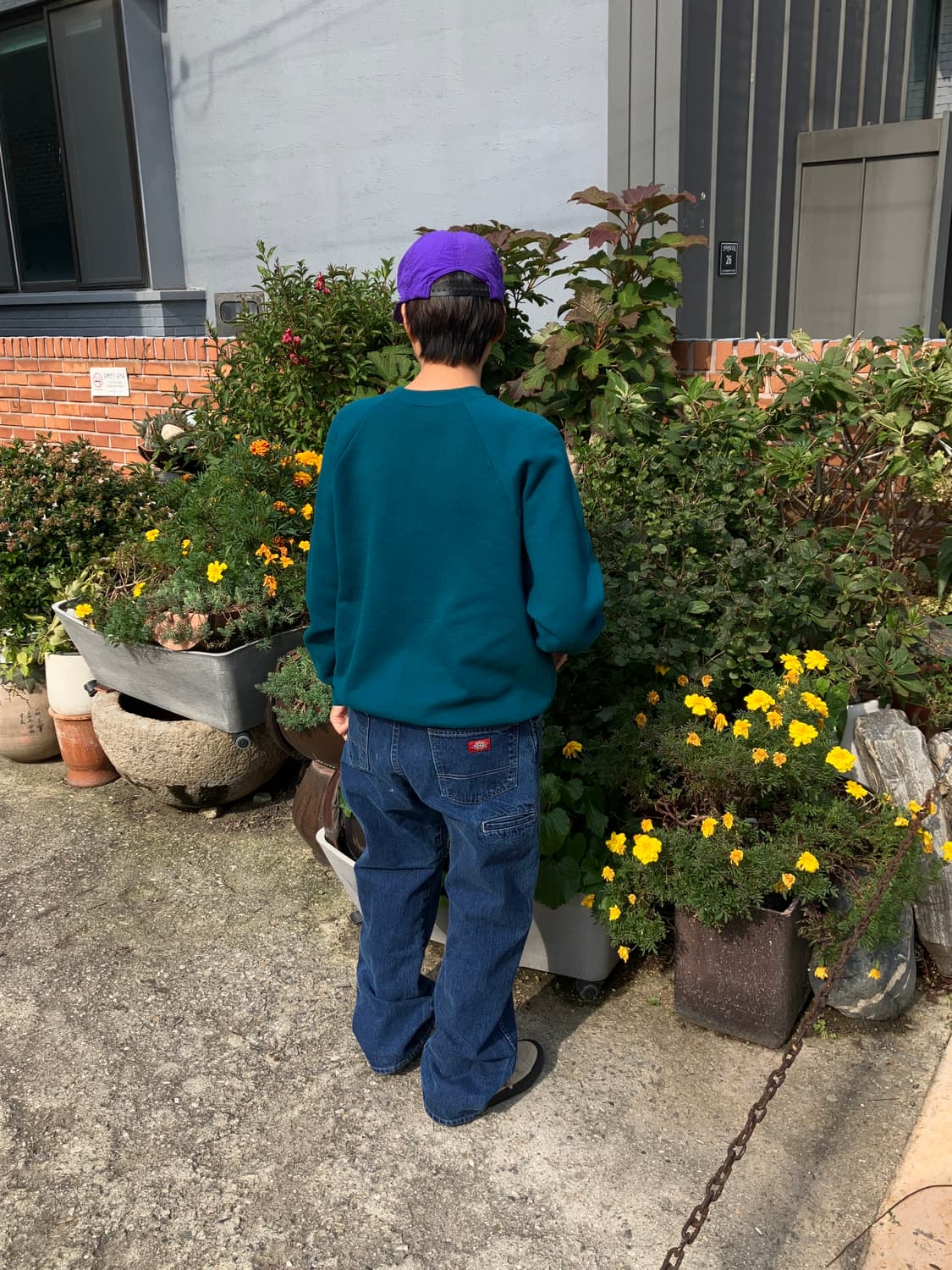 DICKIES regular fit 상품이미지9