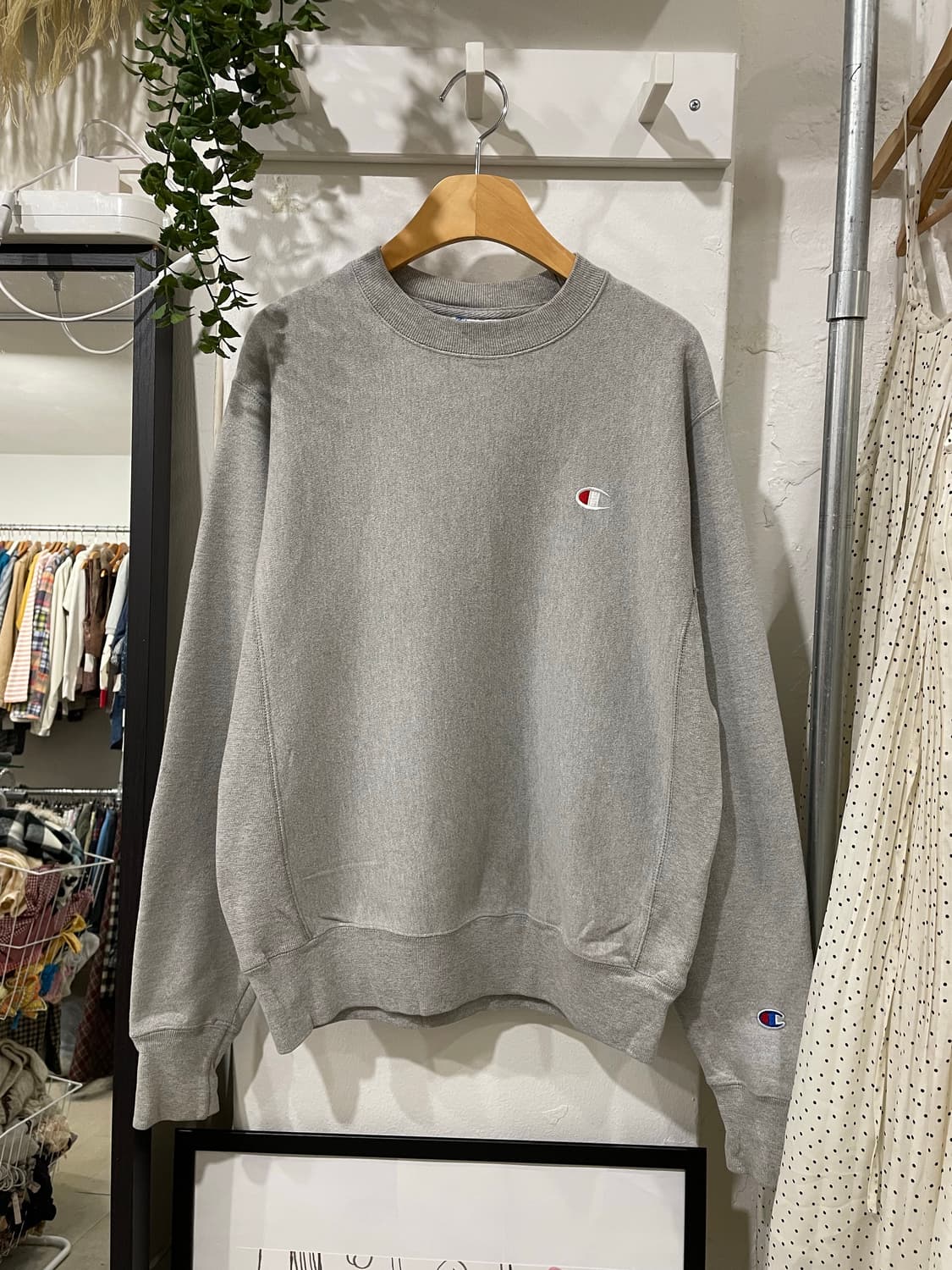 champion reverse weave sweatshirt 상품이미지6