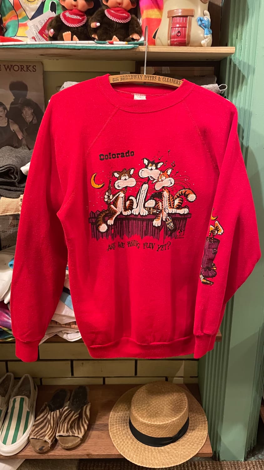 1980-90s Vintage Graphic Sweatshirt USA 상품이미지1