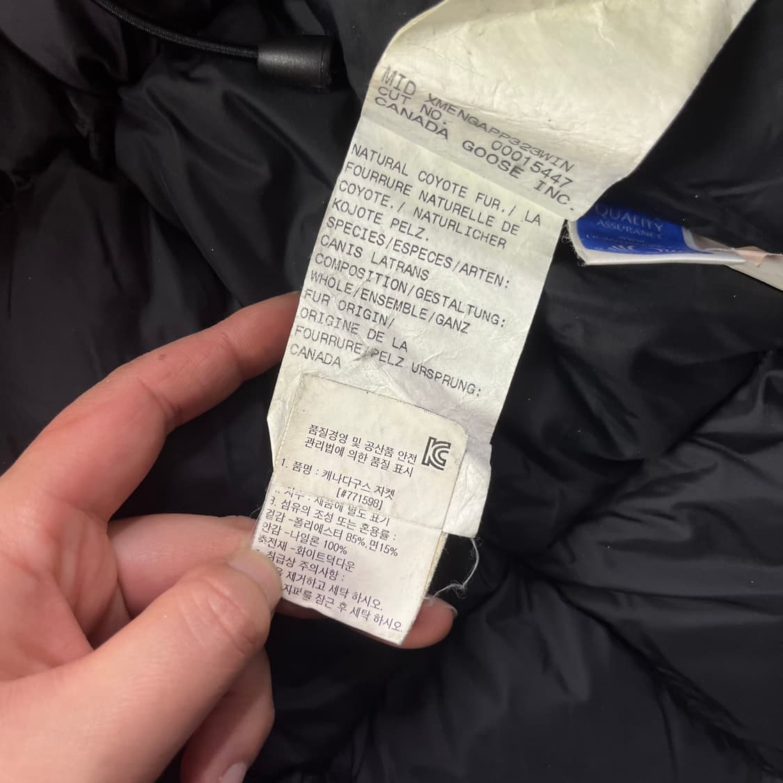 W 90 캐나다구스 트릴리움 구스다운 패딩 상품이미지9